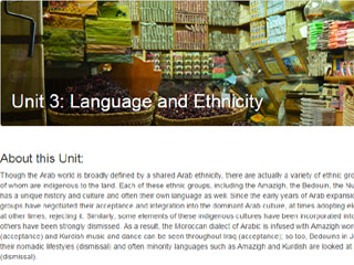 Arab Culture Through Literature and Film: Language and Ethnicity